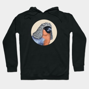 Eurasian bullfinch Hoodie